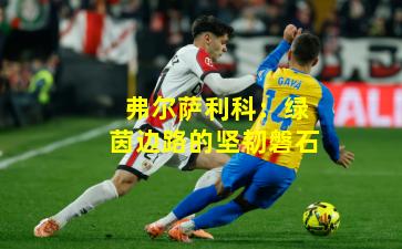 弗尔萨利科：绿茵边路的坚韧磐石