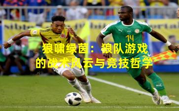 狼啸绿茵：狼队游戏的战术风云与竞技哲学