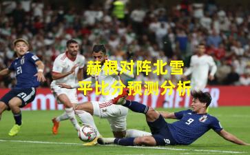 赫根对阵北雪平比分预测分析