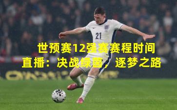世预赛12强赛赛程时间直播：决战绿茵，逐梦之路