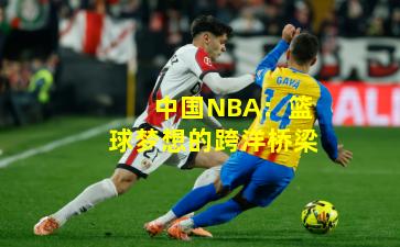 中国NBA：篮球梦想的跨洋桥梁