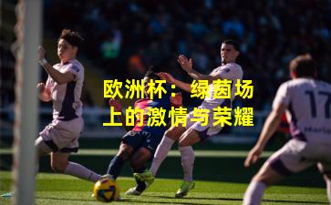 欧洲杯：绿茵场上的激情与荣耀