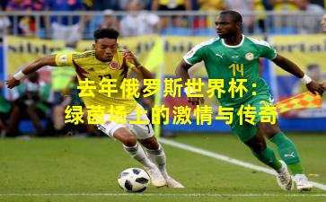 去年俄罗斯世界杯：绿茵场上的激情与传奇